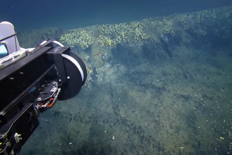 В Мексиканском заливе ученые обнаружили смертоносное озеро: видео