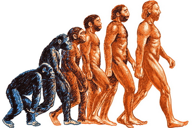 Ученые доказали, что люди до сих пор подвергнуты эволюции