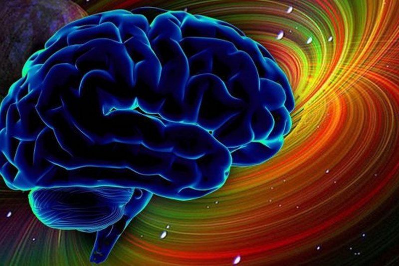 Ученые доказали возможность существования без части мозга