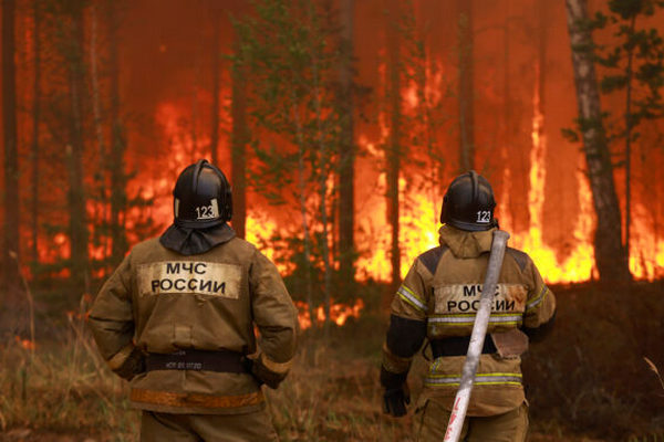 Лесные пожары в России в этом году могут стать рекордными