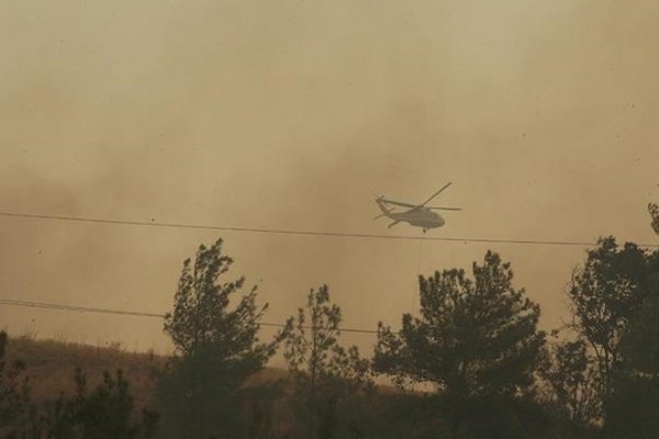 Из-за лесных пожаров в Турции остановили движение судов в проливе Чанаккале