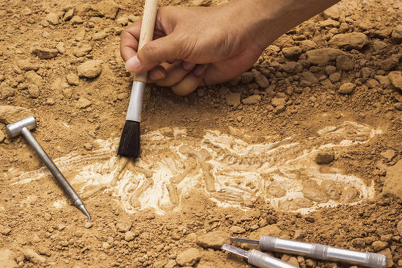 Археологи обнаружили 6000-летнего ребенка, умершего на руках у матери