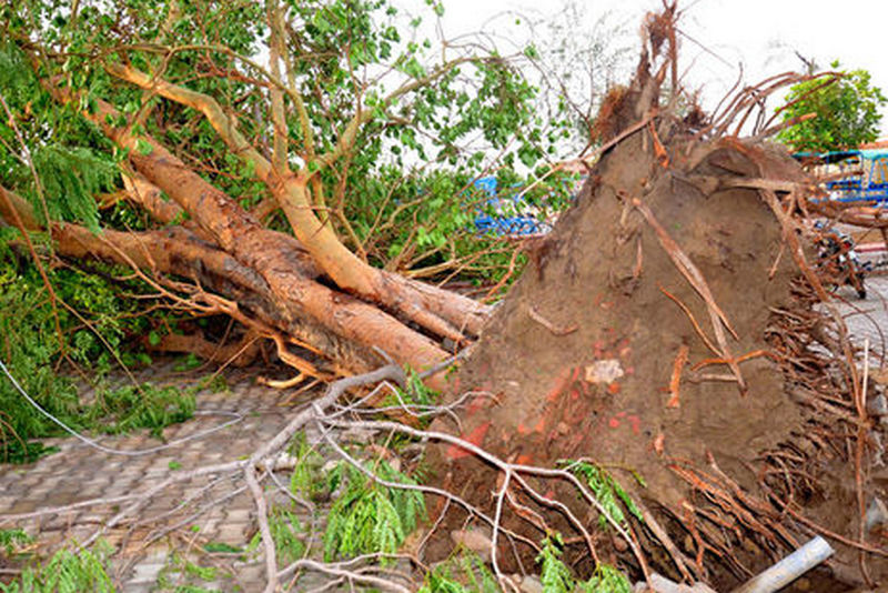 Число жертв шторма в Индии достигло 127