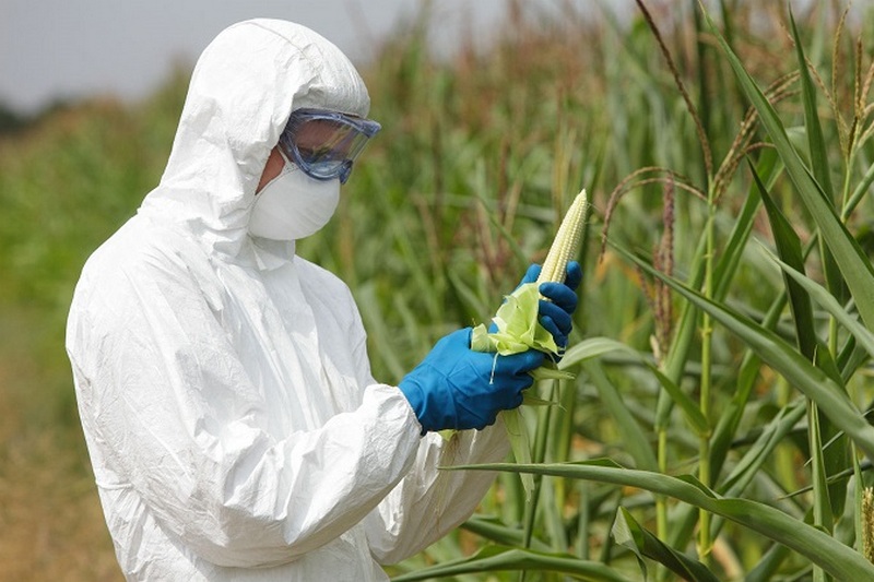 Евросоюз расширяет запрет на пестициды