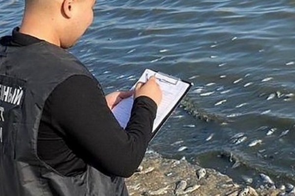 Житель Калмыкии показал последствия массовой гибели рыбы в местном водохранилище. ВИДЕО