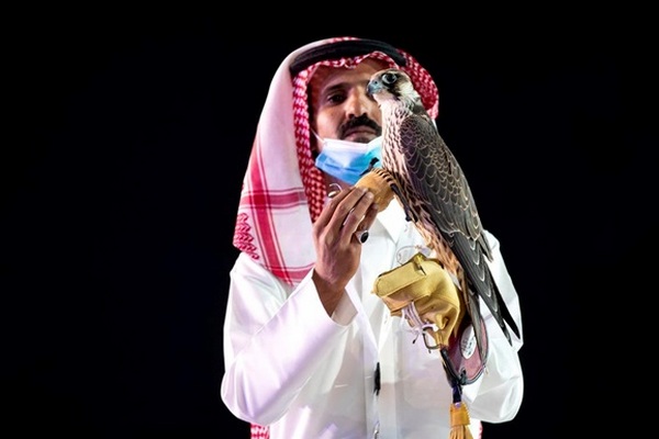 В Саудовской Аравии сокола продали за рекордные $173 тысячи