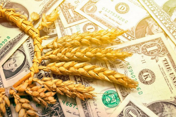 Украина за 10 месяцев экспортировала аграрную продукцию на 17,6 млрд долларов