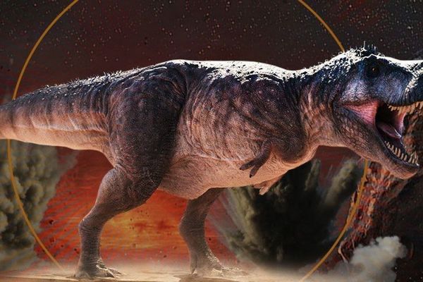 Ученые выяснили, что вызвало огромные размеры тела у динозавров