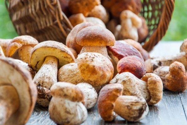 В Одесской области грибами отравилась семья из трёх человек