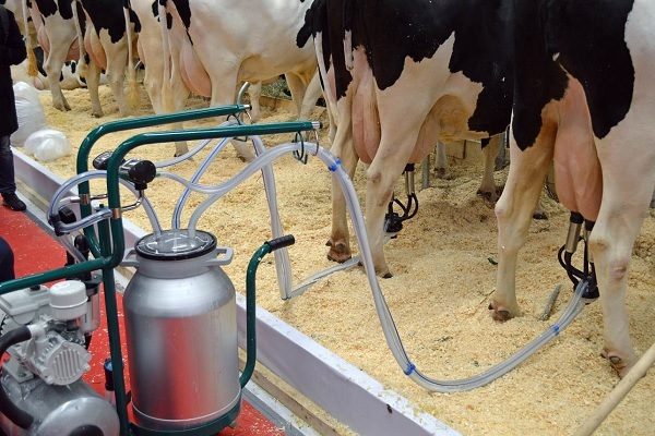 Доильный аппарат для коров: особенности и преимущества