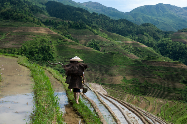 В Китае нашли рисовое поле, которому более 6000 лет