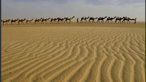 Банки обещают выделить 14 миллиардов долларов на помощь Африке в борьбе с опустыниванием