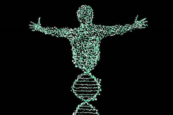 В геноме человека ученые обнаружили несколько сотен новых генов