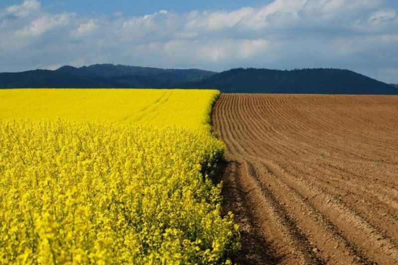 Украина обязана снять мораторий на продажу земли по решению европейского суда