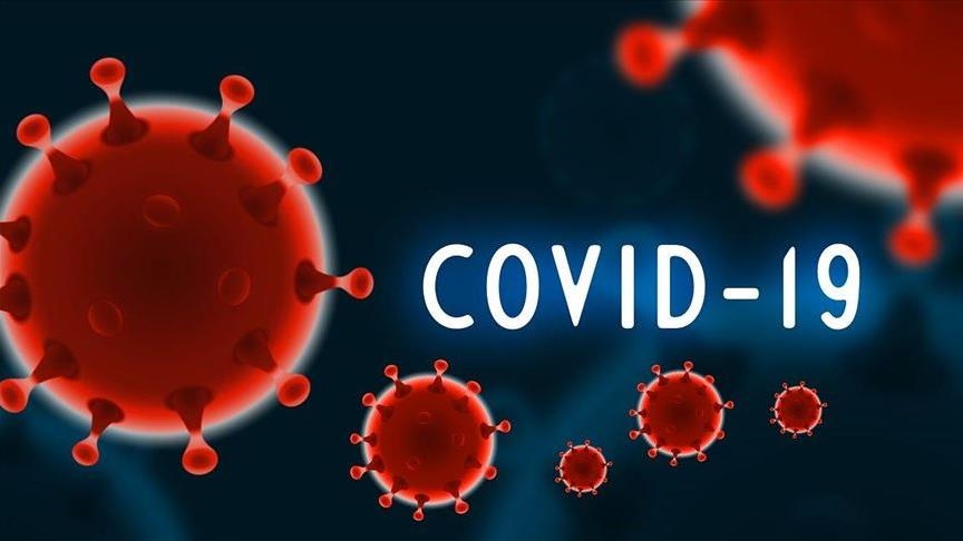 Британские органы здравоохранения ищут в Великобритании человека, инфицированного бразильским вариантом COVID-19