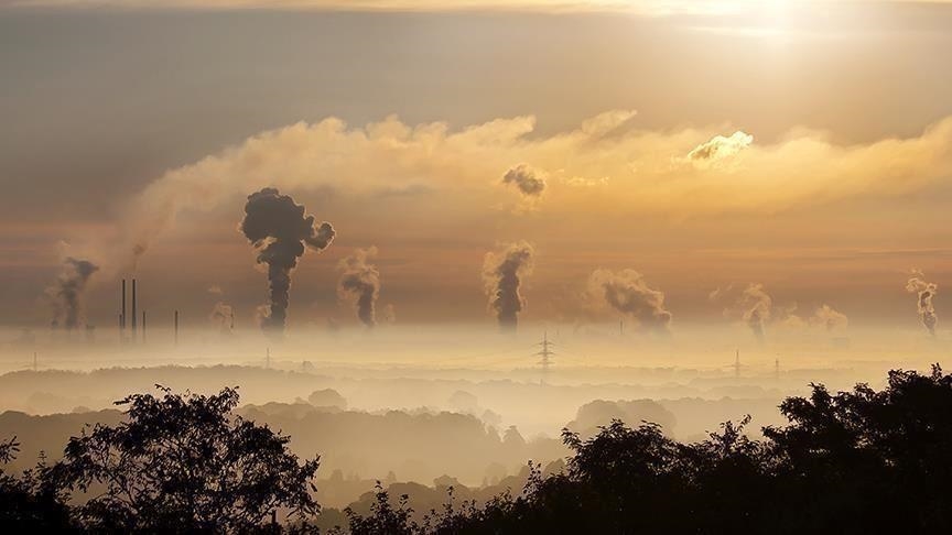 Пандемия привела к повышению качества воздуха в 2020 году: отчет