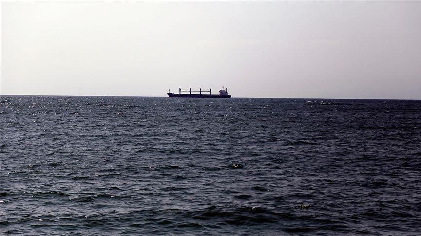 Иран подтвердил взрыв на судне Red Sea