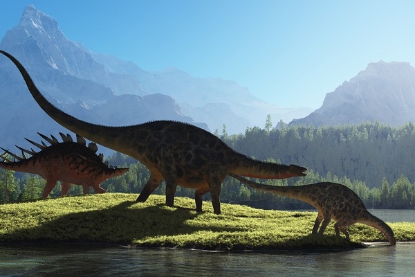 Ученые нашли следы самого маленького стегозавра