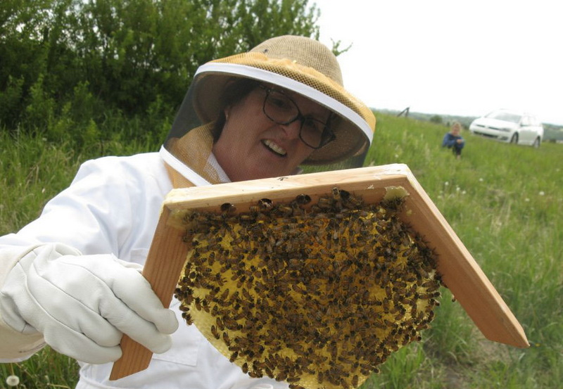 Интернет-магазин для профессиональных пчеловодов Uley