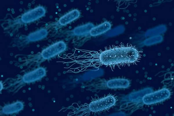 Ученые нашли потенциальный метод борьбы с супербактериями