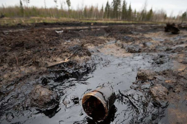 В России десятки тонн нефти попали в почву и реку из коллектора “Лукойла”