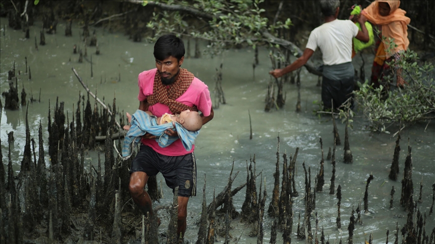 Геноцид рохинджа не прекращается: Report