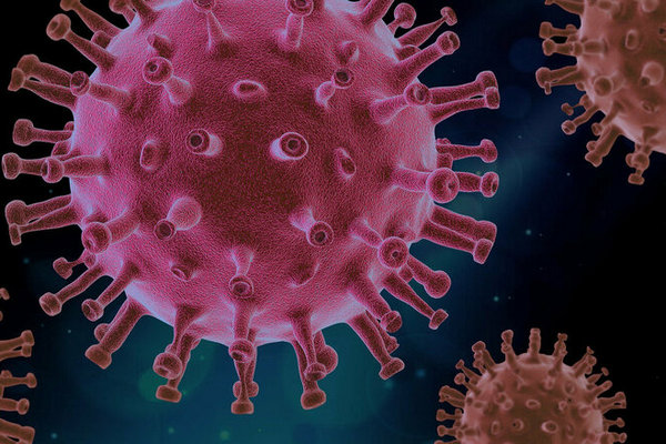 Эпидемия коронавируса поразила человечество более 20 тысяч лет назад