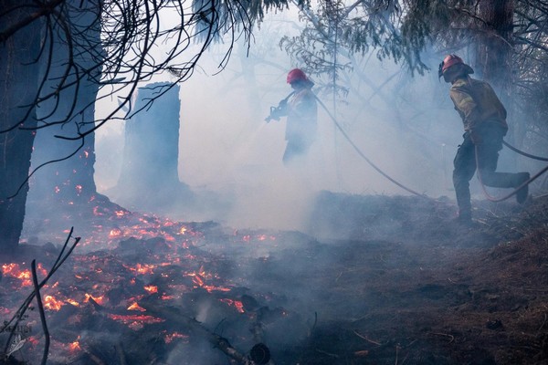 Лесные пожары уничтожили сотни домов в Аргентине (ФОТО)
