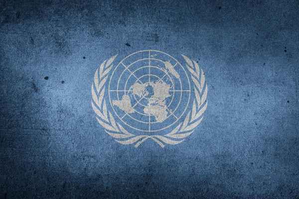 В ООН заказали глобальное расследование расизма