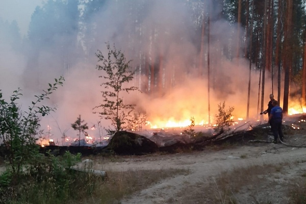 От Якутии до Карелии: в России снова увеличилась площадь лесных пожаров