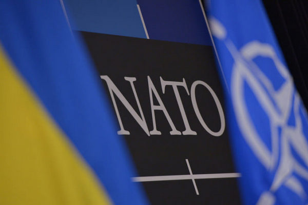 Шведы могут вступить в НАТО вместе с Украиной — Верещук