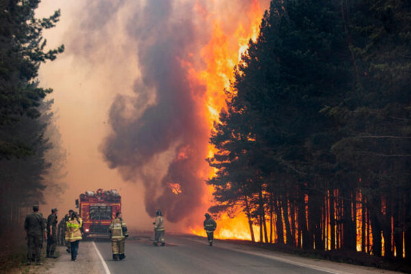 Россия в огне: площадь лесных пожаров в стране увеличилась в два раза за сутки