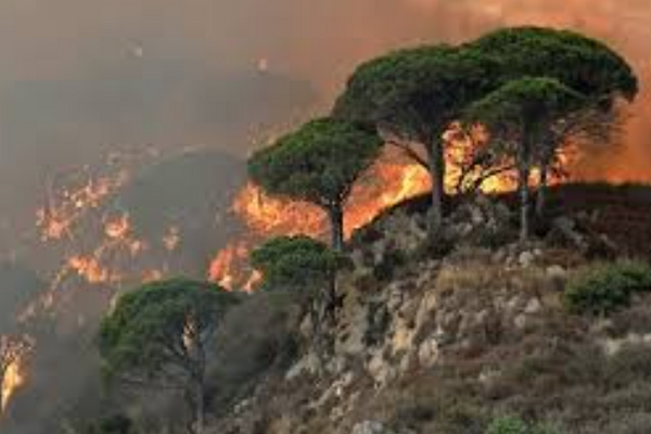 Аномальная жара и пожары в Италии: есть жертвы среди населения
