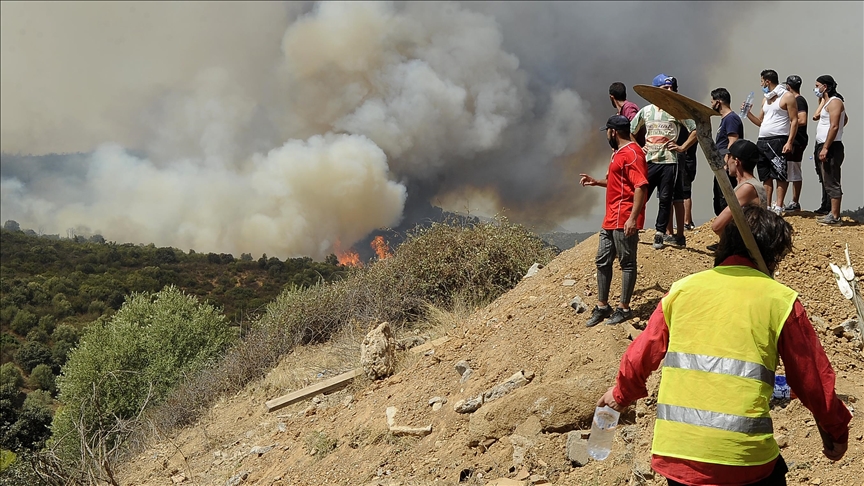 Алжир тушит лесные пожары в провинции Тизи-Узу