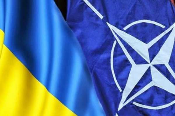 Украина ничего не делает, чтобы стать членом НАТО