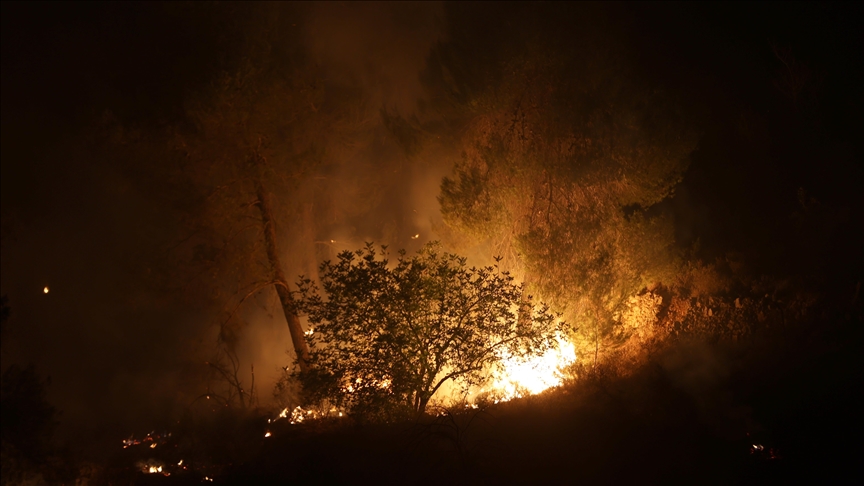 На юг Франции обрушились лесные пожары