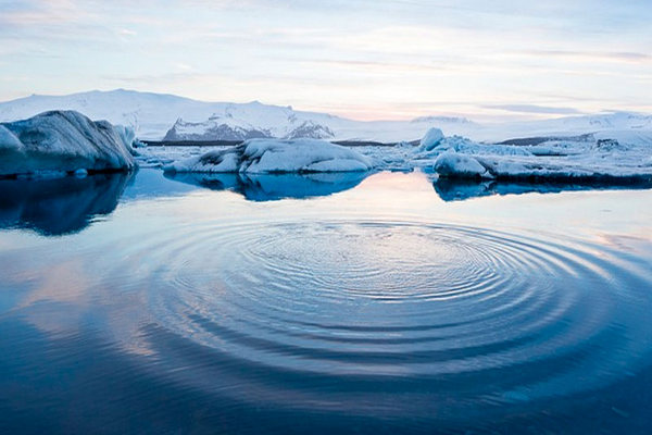 Ученые обнаружили в Арктике странные бактерии
