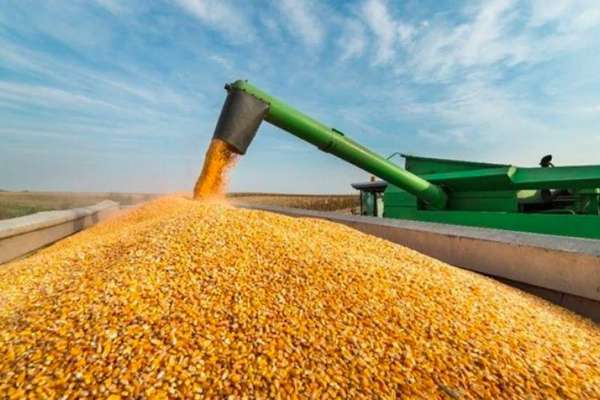 В Украине будет собран самый большой урожай за всю историю