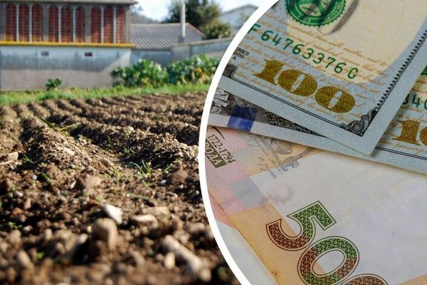 Шмыгаль назвал среднюю цену на гектар земли в Украине