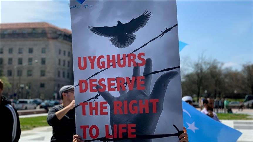 Сенаторы США ищут у известной компании ответы на сообщения о принудительном уйгурском труде