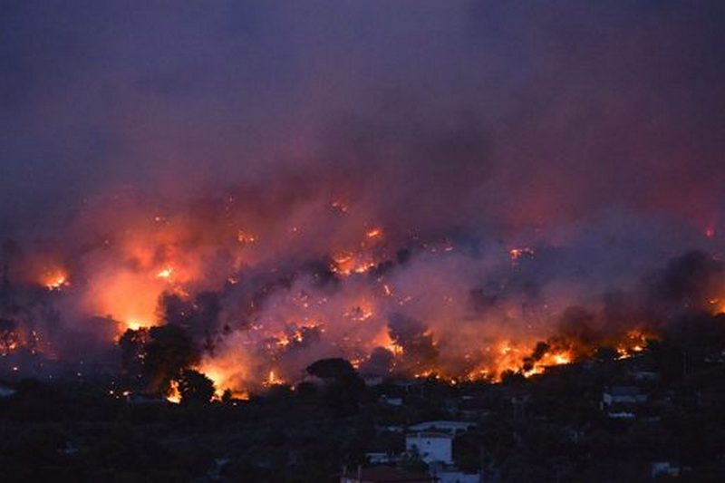Назвали ошеломительную причину страшных пожаров в Греции