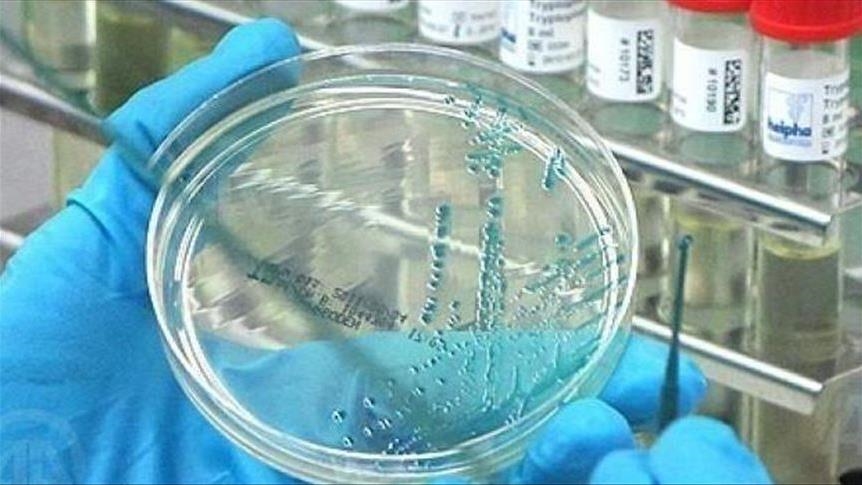 Исследование показывает, что инактивированные бактерии могут помочь предотвратить COVID-19
