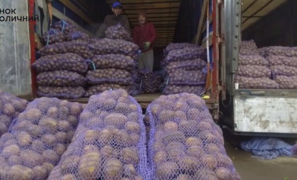 В Украине значительно снизились цены на картофель: причина