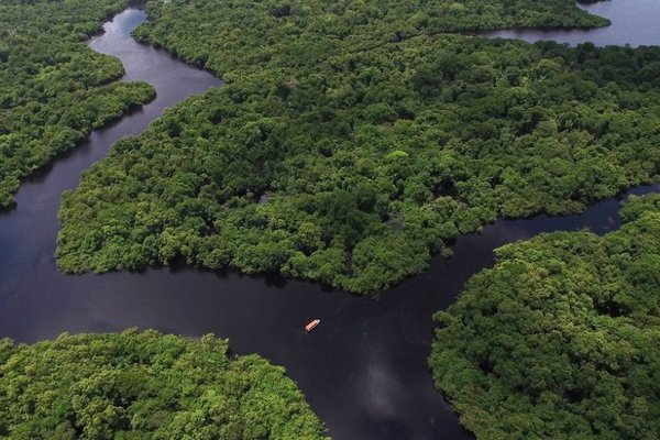 Ученые планируют следить за Амазонкой из космоса