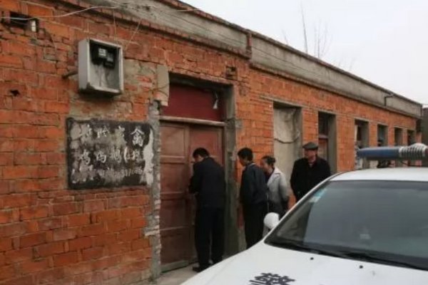 В центральном Китае арестованы трое расхитителей гробниц