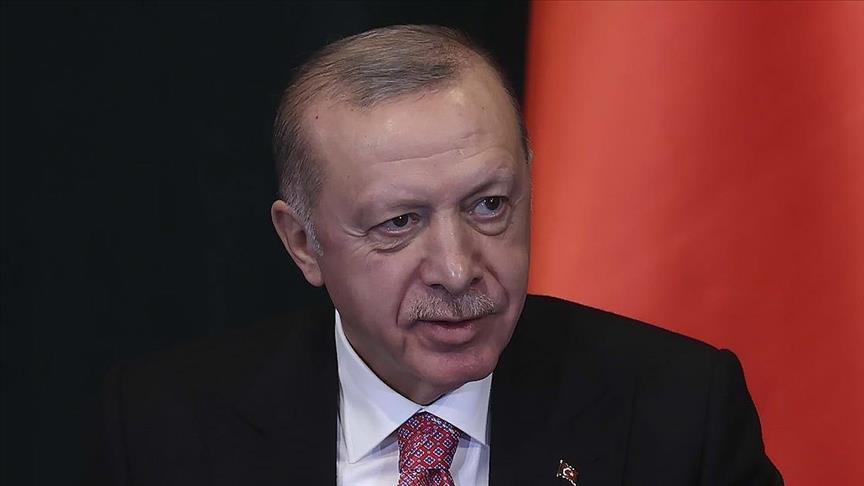 Турция ожидает более ощутимой борьбы с FETO в Албании: Президент