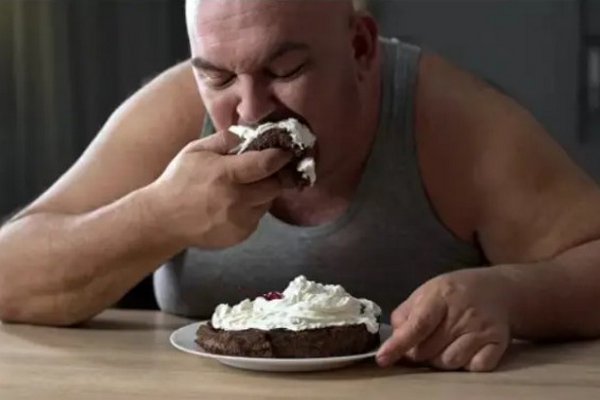 Ученые выяснили, почему жирная пища вызывает ожирение