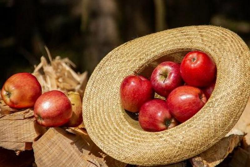 Яблочный Спас 2018: запреты и традиции праздника