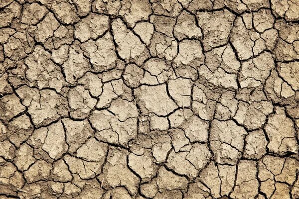 Испания и Португалия страдают от сильнейшей засухи