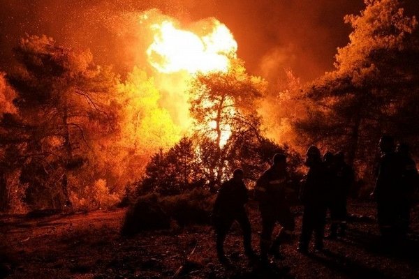 В ООН предрекли рост числа лесных пожаров по всему миру